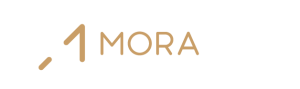 Mora & Co. Realty | Negocios Inmobiliarios