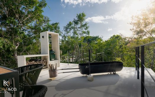 Tree60°: Inversión Sustentable en la Selva