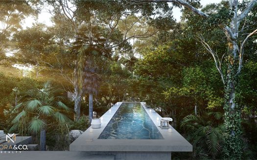 Tree60°: Inversión Sustentable en la Selva