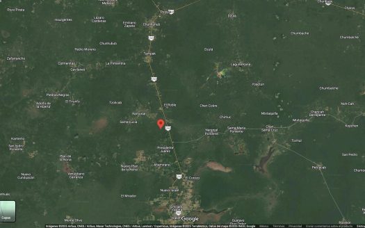 EN VENTA 332 HECTÁREAS DE PREDIO RÚSTICO EN FELIPE CARRILLO PUERTO