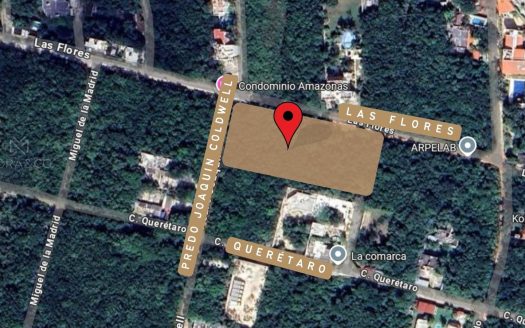 CALLE LAS FLORES Y PEDRO JOAQUIN CODWELL – A 6 ESQ. DE AV. HUAYACAN