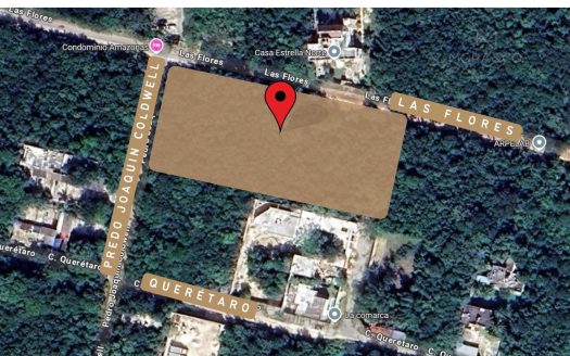 CALLE LAS FLORES Y PEDRO JOAQUIN CODWELL – A 6 ESQ. DE AV. HUAYACAN